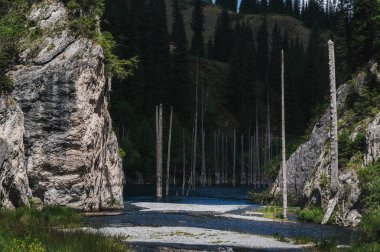 Tien Shan dağlarındaki Kaindy Gölü yazın Kazakistan 'da bulutlu bir günde. Batık köknar ormanı olan gizemli bir göl.