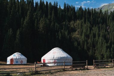 Yazın Kazakistan bozkırlarında, ormanın yakınındaki geleneksel Asya göçebe beyaz yurtlar.