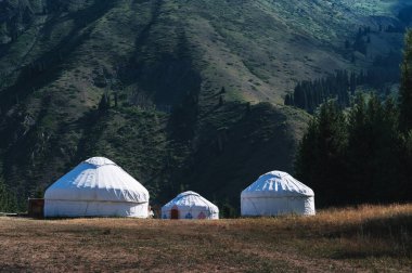 Geleneksel Asyalı göçebe evleri yazları Kazakistan 'daki Tien Shan Dağları' nda ladin ormanlarının yakınındaki bir tarlada yaşarlar.