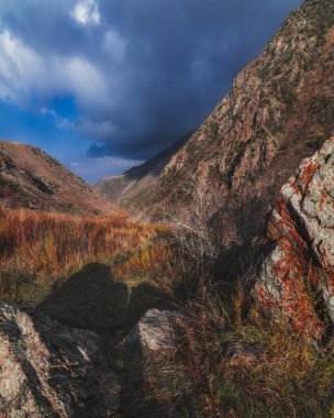 Sonbaharda, güneşli bir günde portakal vadisiyle dağlarda tıka basa dolaş.
