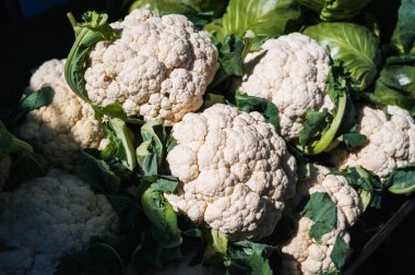 Taze karnabahar hasadı çiftçi pazarının tezgahında.