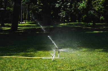 Parktaki sulama sistemi. Yeşili yemyeşil çimlerin otomatik sulanması.