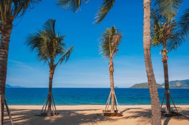 Kumlu bir sahilde, denizin arka planında palmiye ağaçları..