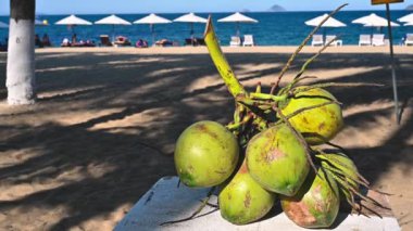 Yazın Vietnam 'da bir tatil köyünde sahilde satılık hindistan cevizi içmek.