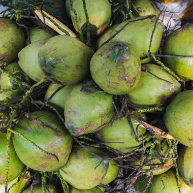 Vietnam 'da, Asya' da bir sokak pazarında hindistan cevizi içen bir grup yeşil.