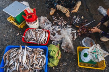 Vietnam, Asya 'daki deniz ürünleri pazarında taze balık satışı.