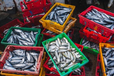 Vietnam 'ın Nha Trang kentindeki açık deniz ürünleri pazarında taze balık çeşitleri. Nha Trang, Vietnam - 8 Eylül 2024