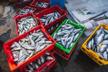 Vietnam 'ın Nha Trang kentindeki açık deniz ürünleri pazarında taze balık çeşitleri. Nha Trang, Vietnam - 8 Eylül 2024