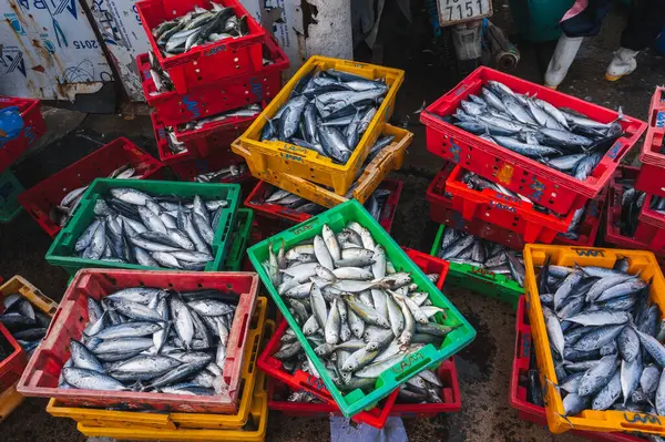 Vietnam 'daki Nha Trang' da sokak deniz ürünleri pazarında taze balık. Nha Trang, Vietnam - 8 Eylül 2024