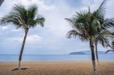 Yazın bulutlu bir günde Vietnam 'daki Nha Trang tatil köyünde hindistan cevizi palmiyeleri olan kumsal.