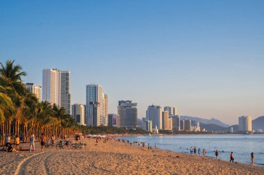 Yazın Asya 'da bir tatil köyünde deniz kenarında palmiye ağaçları olan kumlu bir sahil. Nha Trang, Vietnam - 3 Ağustos 2024