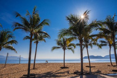 Yazın kumlu bir sahilde, deniz kenarında palmiye ağaçları olan bir tatil köyünde bisiklet sürmek.