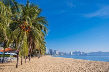 Yazın deniz kenarında palmiye ağaçları olan kumsal Vietnam 'daki Nha Trang tatil köyüne bakıyor.
