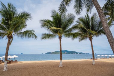 Yazın bulutlu bir günde Vietnam 'daki Nha Trang tatil beldesinde kumlu bir sahilde palmiye ağaçları. Vininci eğlence parkıyla adanın manzarası