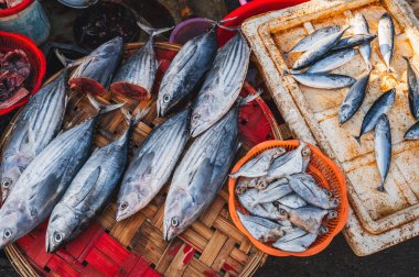 Vietnam 'da Asya' daki balık pazarında tezgahın üzerinde çeşitli deniz balığı çeşitleri var.