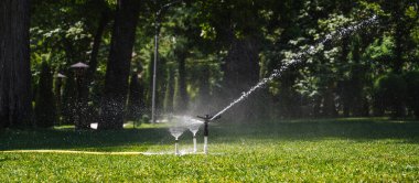 Sulama suyu yeşil çimenleri parktaki çimlerle suluyor. Geniş panoramik çekim