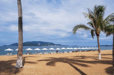 Palmiye ağaçları ve deniz kenarında plaj şemsiyeleri altında dinlenen turistlerle dolu kumlu sahil Vietnam 'daki Vininci Adası' na bakan Nha Trang tatil köyünde.