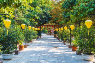 Vietnam 'da, Asya' da bir Budist tapınağında, bahçedeki ağaçlarla süslenmiş bir parkta, Çin fenerleriyle süslenmiş bir sokak.