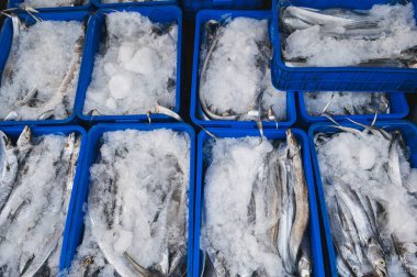 Vietnam, Asya 'daki deniz ürünleri pazarında taze balık balığı satışı.