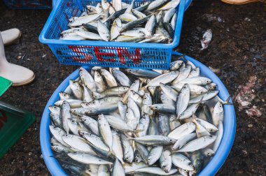 Vietnam, Asya 'daki deniz ürünleri pazarında taze balık satışı.