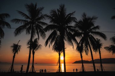 Yaz akşamları, Asya 'da bir tatil köyünde, deniz kenarında, siluetler ve palmiye ağaçları.