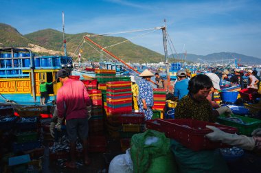 Kimliği belirsiz Asyalı işçiler eski bir balıkçı limanında satmak için balıkçı teknelerinden balık topluyor. Vietnam, Nha Trang - 8 Eylül 2024