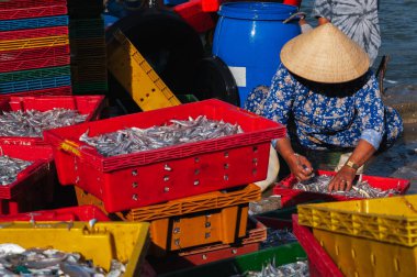 Vietnamlı konik şapkalı kadınlar yerel markette balık satışı için balık hazırlıyorlar. Vietnam, Nha Trang
