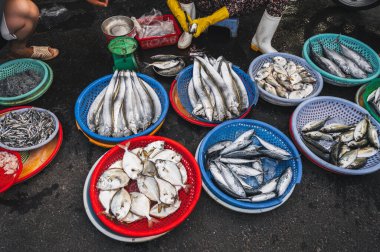 Nha Trang, Vietnam 'daki balık pazarında taze balık çeşitliliği.