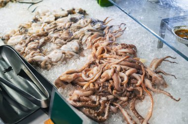 Vietnam 'daki Asya gece pazarında Asya deniz ürünleri sergileniyor. Taze ahtapot ve mürekkep balığı.