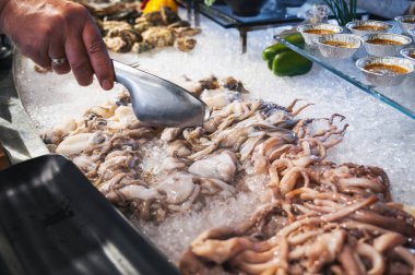Asya kahvaltı restoranındaki otelde Asya büfesinde deniz ürünleri. Vietnam 'da bir gece pazarında dondurulmuş taze ahtapot ve mürekkep balığı.