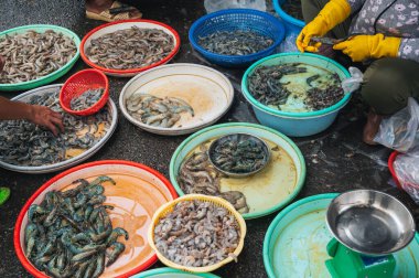Asya 'daki Asya Deniz Gıda Pazarı' nda taze karides ve çiğ karides