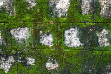 Yeşil yosunlarla kaplı eski bir antika taş duvar. Doğal desenli arkaplan