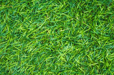 Yeşil çimen desenli suni çimen arka planı
