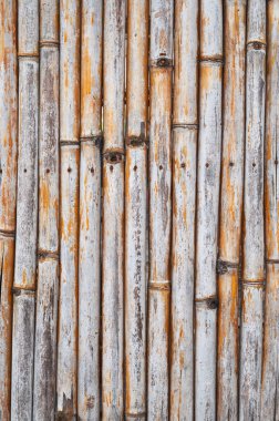 Doğal ahşap arkaplan, eski kuru bambu deseninin bir kopyası var.