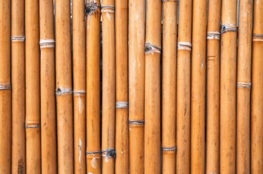 Kopya alanı olan bambu desenli doğal arkaplan