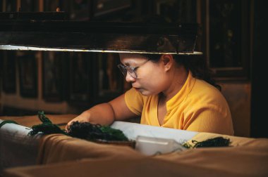 Vietnamlı bir kadın, Asya 'nın Hoi An şehrindeki bir atölyede ipek nakış işliyor. Hoi An, Vietnam - 1 Aralık 2024