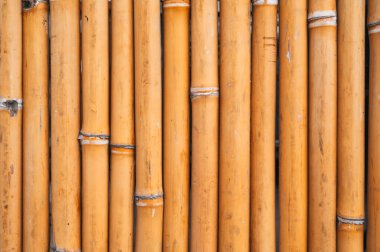 Doğal ahşap arkaplan. Kopya alanı olan kuru bambu desenli.