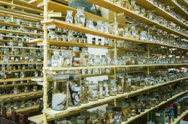 Bilimsel gizli bir biyokimya laboratuvarının rafında formaldehit içindeki organizmalardan örnekler içeren şişeler ve test tüpleri.