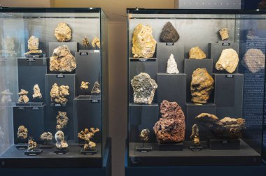 Farklı mercan parçalarının sergilendiği bir gösteri. Nha Trang, Vietnam - 31 Ekim 2024.