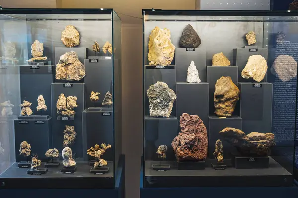 Farklı mercan parçalarının sergilendiği bir gösteri. Nha Trang, Vietnam - 31 Ekim 2024.