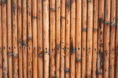 Asya portakalı kuru bambu çit arka plan dokusu kopya alanı ile