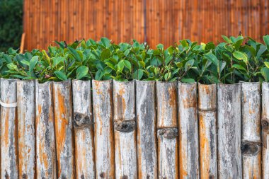 Asya 'daki bahçe bitkileri için dekoratif doğal bambu çiti