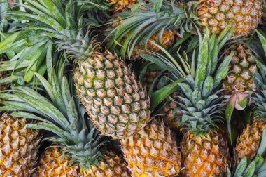 Olgun tropik meyve ananaslarıyla donatılmış arka plan