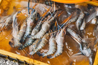 Taze karides. Balık pazarının tezgahında buzlu soğuk büyük karidesler.