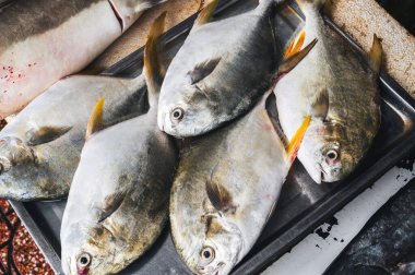 Taze balık yakaladım. Vietnam 'daki Asya deniz ürünleri pazarında soğumuş pomfret balığı.