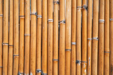 Doğal çit arkaplanı. Kopya alanı olan kuru bambu desenli.