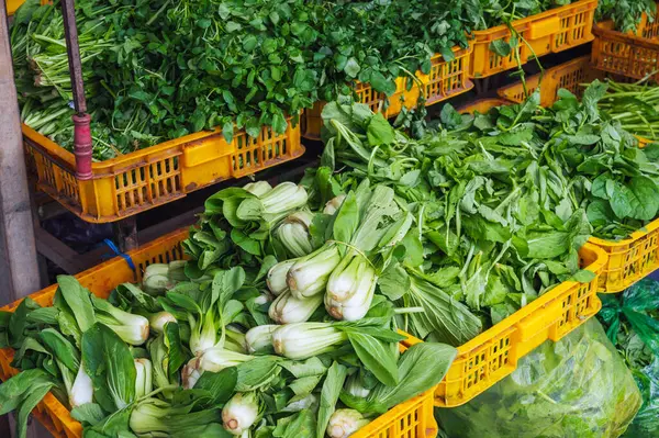 Asya 'daki sebze pazarında taze ot ve salata çeşitleri.