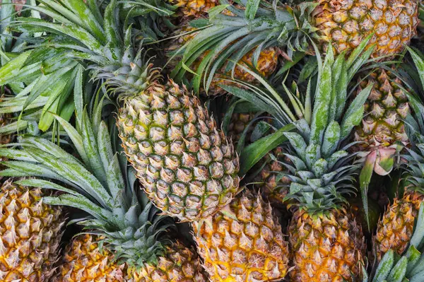 Olgun tropik meyve ananaslarıyla donatılmış arka plan