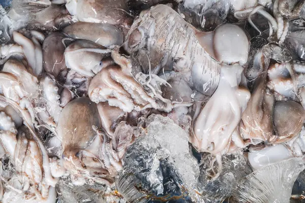 Ahtapot yakalama ile arka plan. Deniz ürünleri pazarında buzda taze soğutulmuş ahtapotlar.