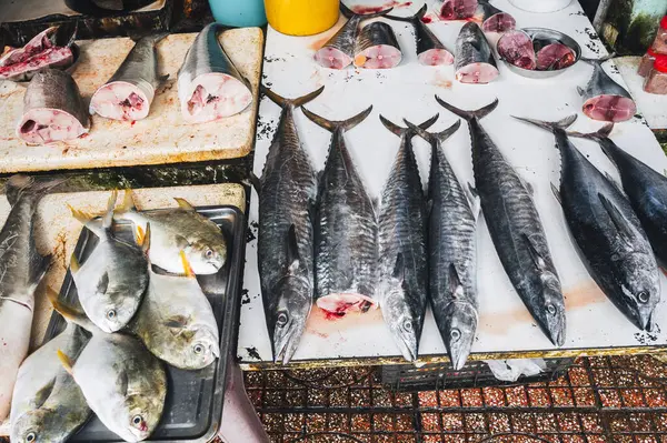 Taze balık çeşitleri. Soğuk Kral Uskumru ve Ton Balığı Vietnam 'daki Asya Deniz Ürünleri Pazarı' nın tezgahında.